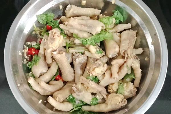 凉拌鸡爪的做法图解18