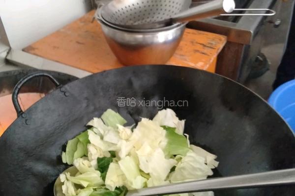 手撕莲花白的做法图解4
