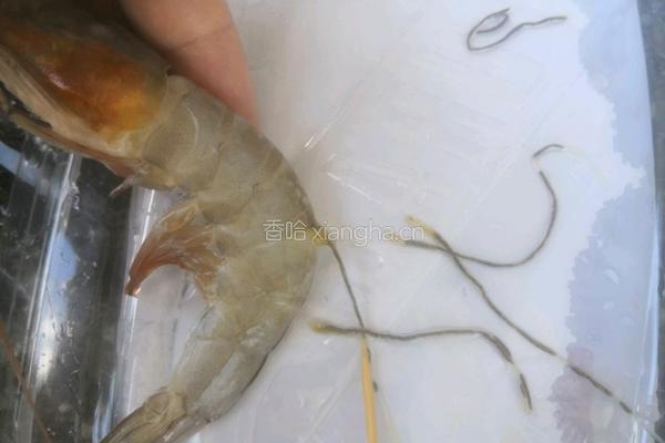 油焖虾的做法图解2