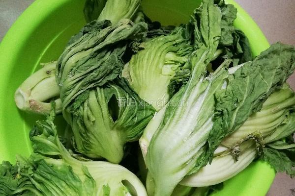 广式泡酸菜(农家简单做法)的做法图解2