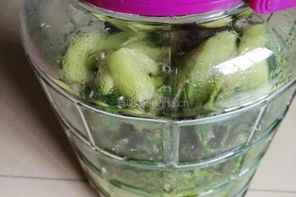 广式泡酸菜(农家简单做法)的做法图解5