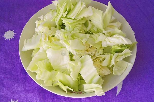 茄子炒卷心菜的做法图解4