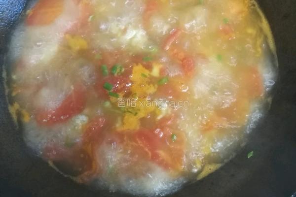 西红柿肉丸汤的做法图解5