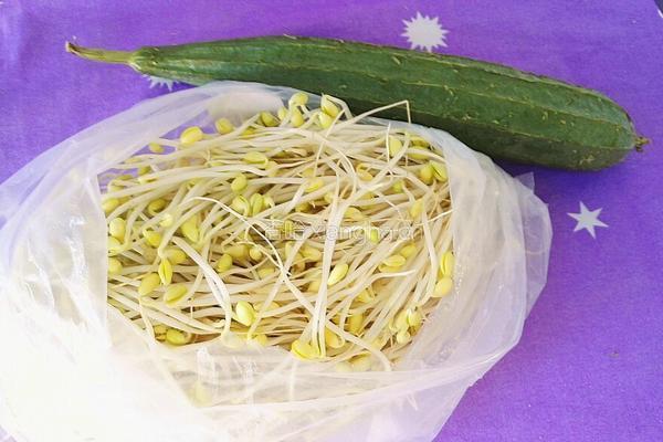 豆芽丝瓜汤的做法图解1