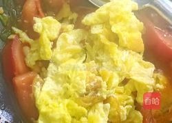 番茄炒鸡蛋的做法图解9