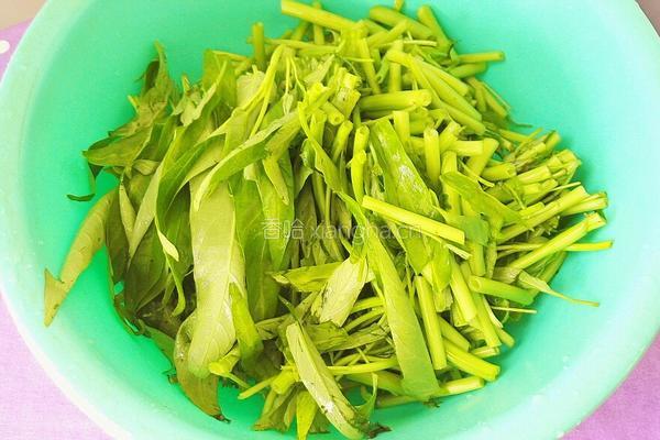 清炒空心菜的做法图解4