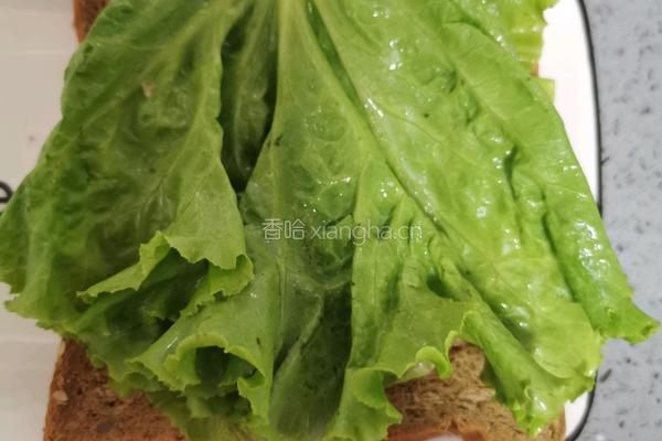 快手三明治的做法图解6