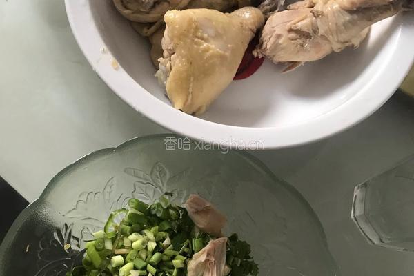 手撕鸡的做法图解7