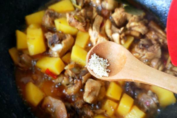 土豆烧鸡块的做法图解17
