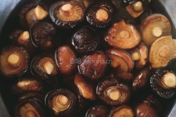 小鸡炖蘑菇的做法图解2