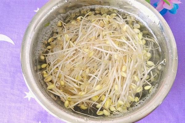 豆芽炒西兰花的做法图解3