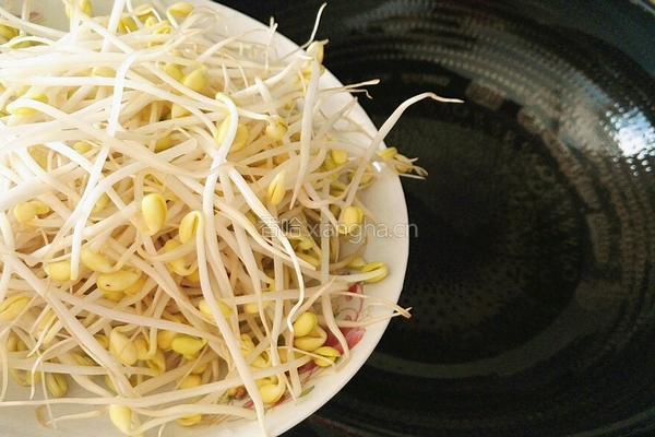 豆芽炒西兰花的做法图解8