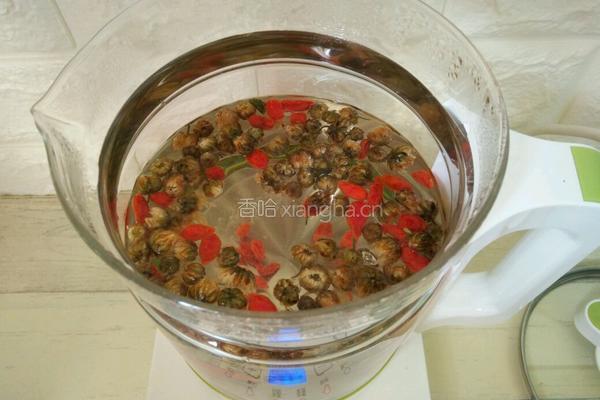 菊花枸杞茶的做法图解6