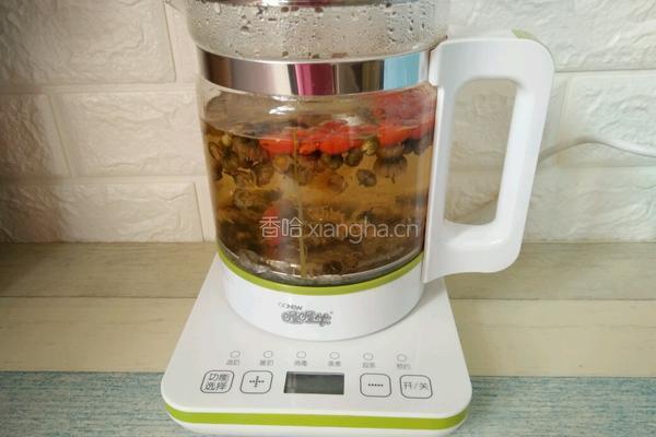 菊花枸杞茶的做法图解8