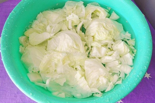 醋溜白菜的做法图解2
