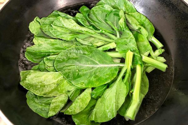 白灼菜心的做法图解3
