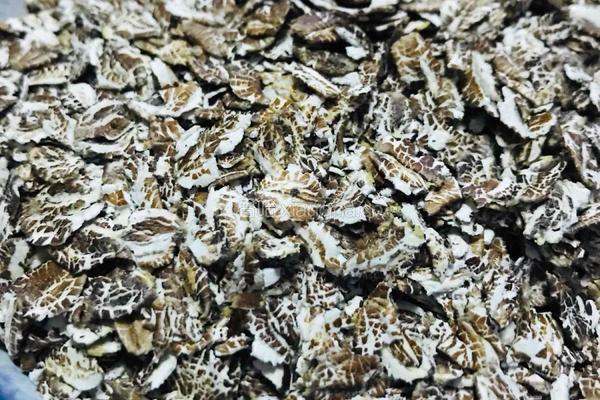 黑麦蔬菜粥的做法图解1