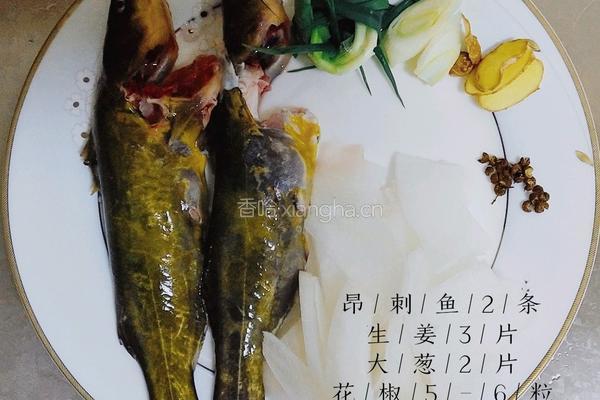 昂刺鱼白玉汤的做法图解2
