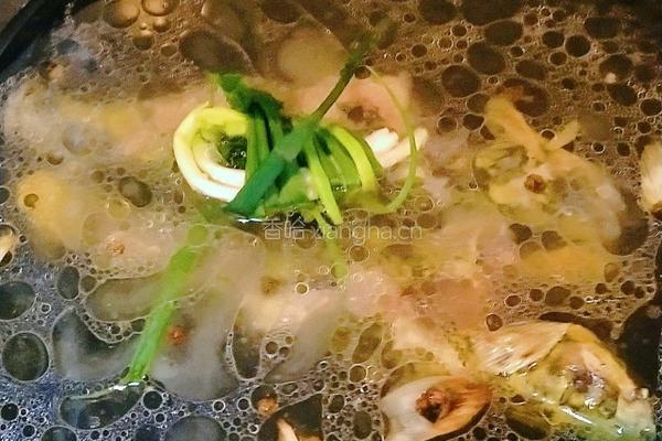 昂刺鱼白玉汤的做法图解5