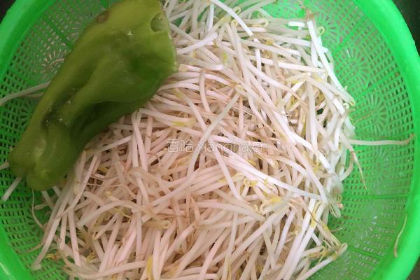 青椒豆芽菜的做法图解1