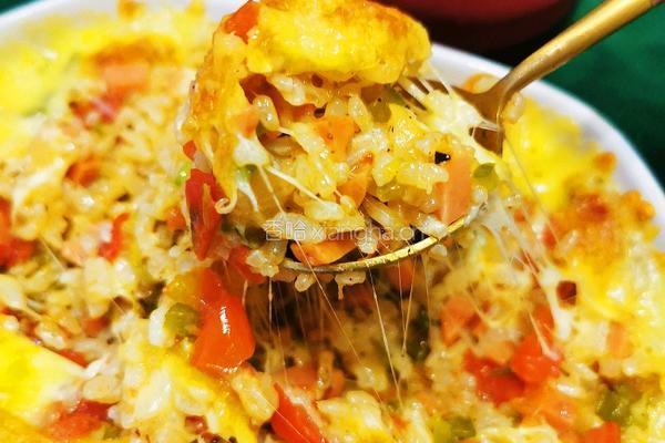 芝士焗饭的做法图解21