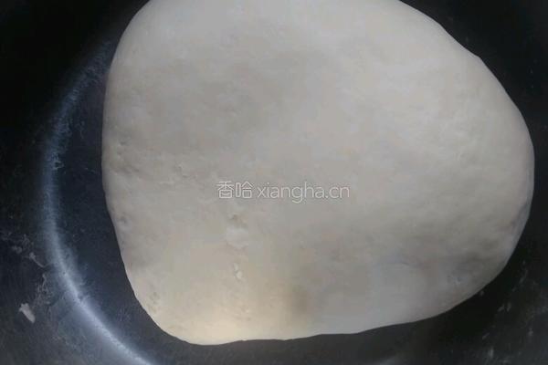 猪肉大葱馅饺子的做法图解1