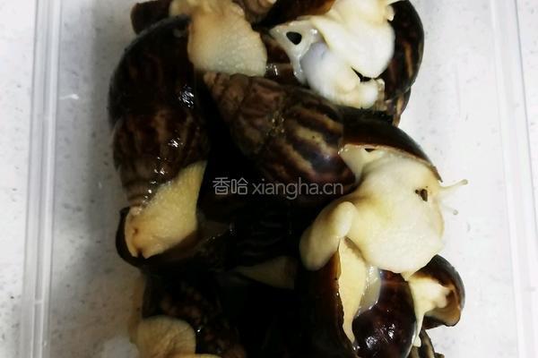 爆炒白玉蜗牛的做法图解1