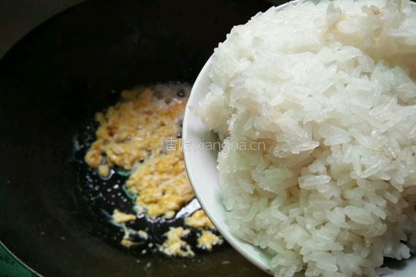 油菜蛋炒饭的做法图解4