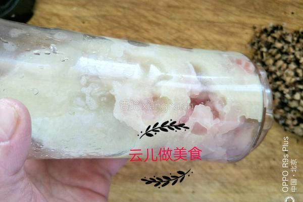 鲷鱼香菇饺子的做法图解4