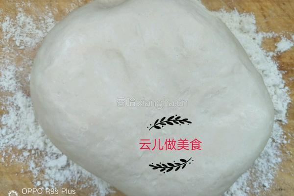 鲷鱼香菇饺子的做法图解8