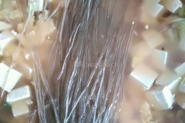 白菜五花肉炖豆腐粉条的做法图解5
