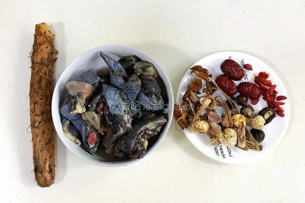 菌菇山药乌鸡汤的做法图解1