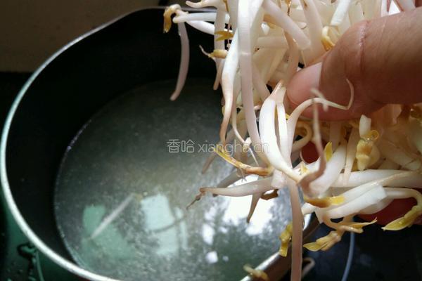 辣椒酱豆芽拌面的做法图解8