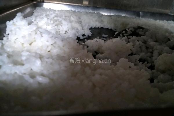 酸奶拌饭的做法图解1