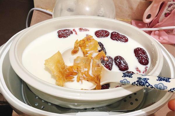 牛奶红枣炖鱼胶的做法图解5