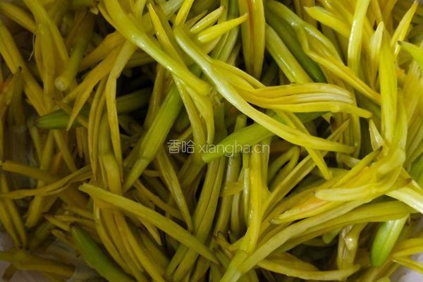 清炒黄花菜的做法图解3