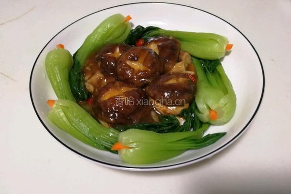 香菇油菜的做法图解10