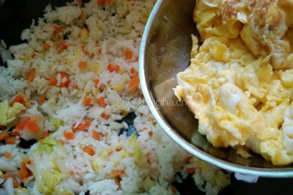 胡萝卜白菜蛋炒饭的做法图解8