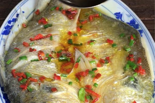 清蒸黄鱼的做法图解12