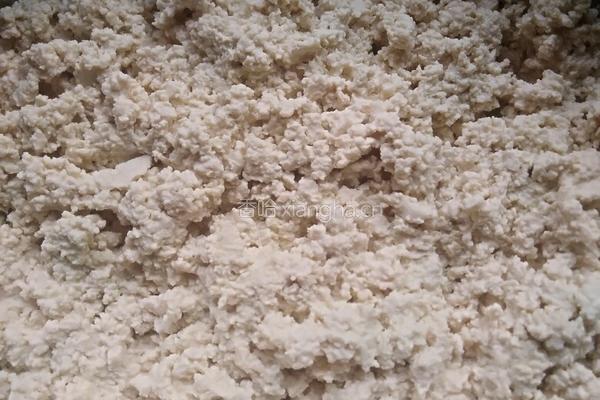 茼蒿炒小豆腐的做法图解2