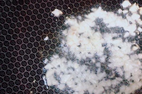 蒜苔炒肉末的做法图解2