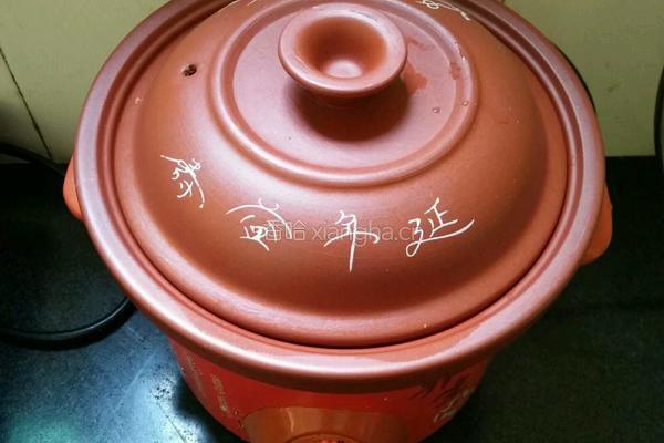 海底椰梨子汁的做法图解10