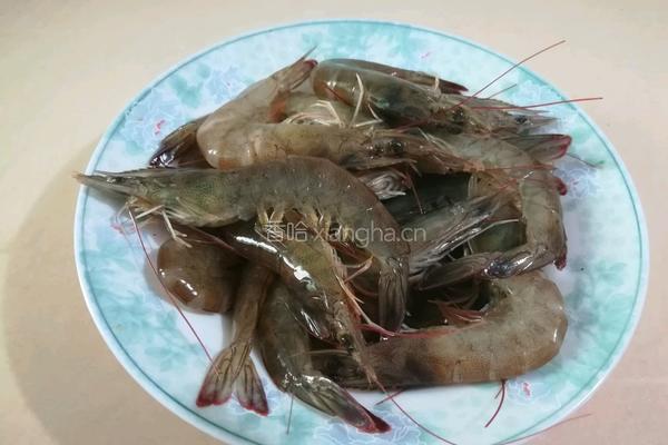 蒜蓉粉丝开边虾的做法图解1