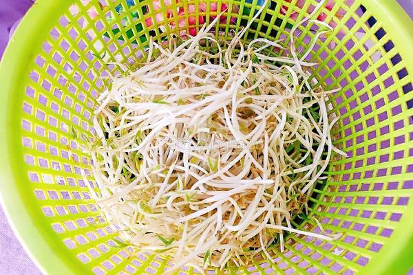清蒸豆芽虾的做法图解5