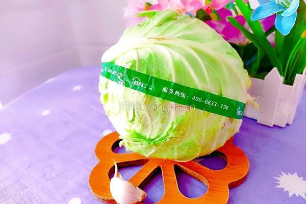 红烧卷心菜的做法图解1