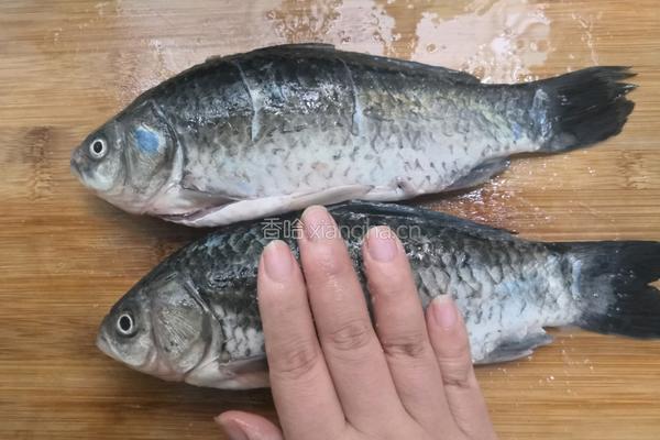 葱香鲫鱼的做法图解4