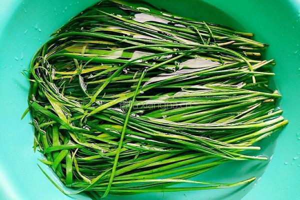 豆腐干韭菜炒虾的做法图解5