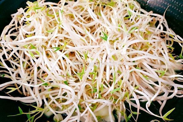绿豆芽炒黄瓜的做法图解11