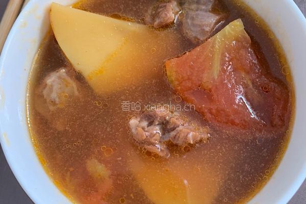 番茄土豆炖牛腩的做法图解9