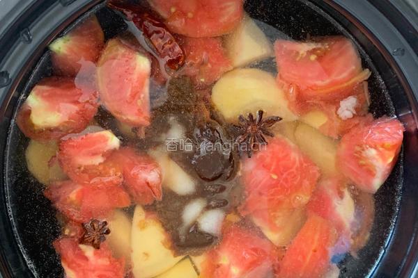番茄土豆炖牛腩的做法图解6